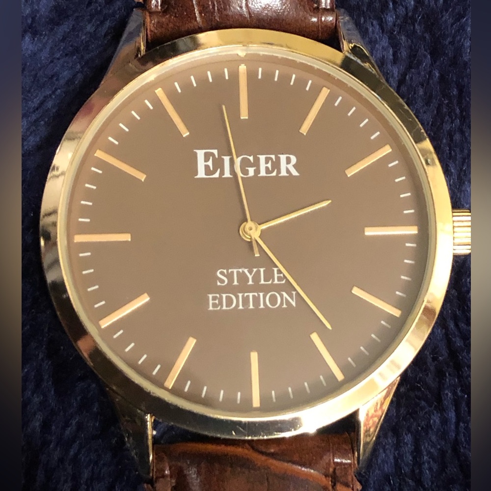 Eiger men's brown face gold trim alligator band watch.